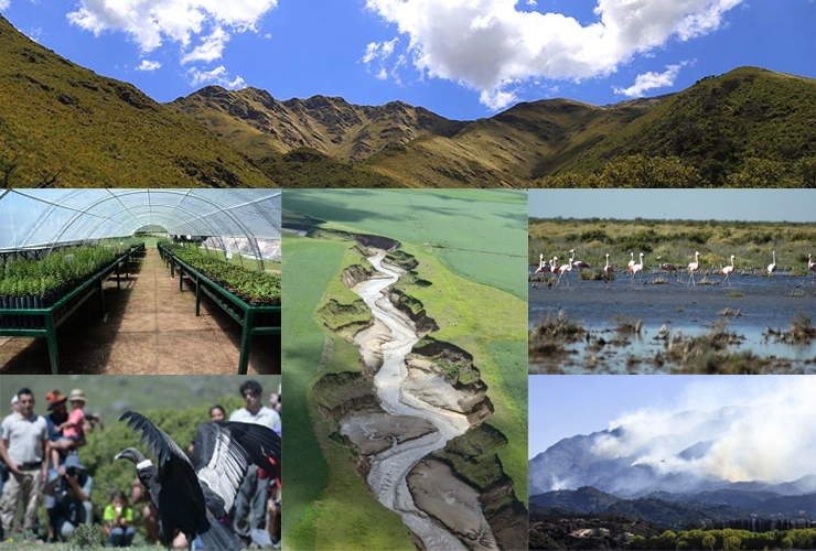 foto-medioambiente1 (1).jpg