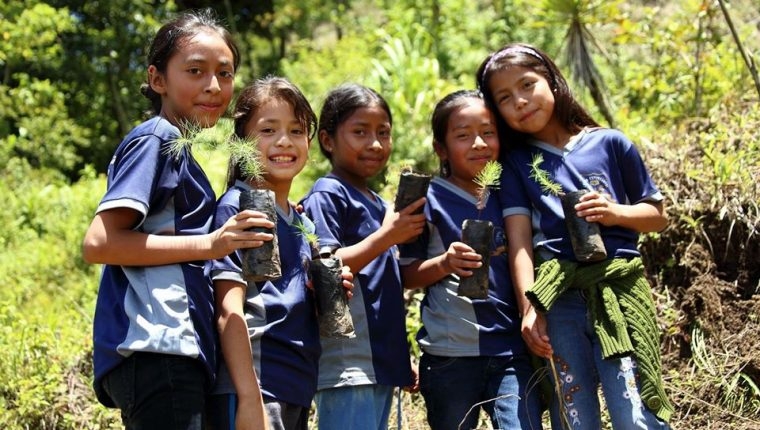 purulah-1.jpg