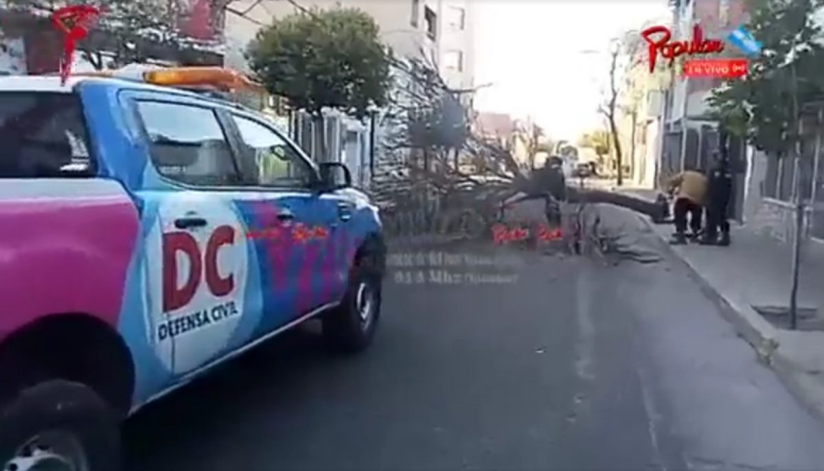 foto.jpg