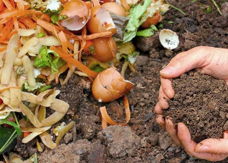 Compost-biofertilizante-abono-verde-lombricompuesto-preparacion-ventajas-infocampo.jpg