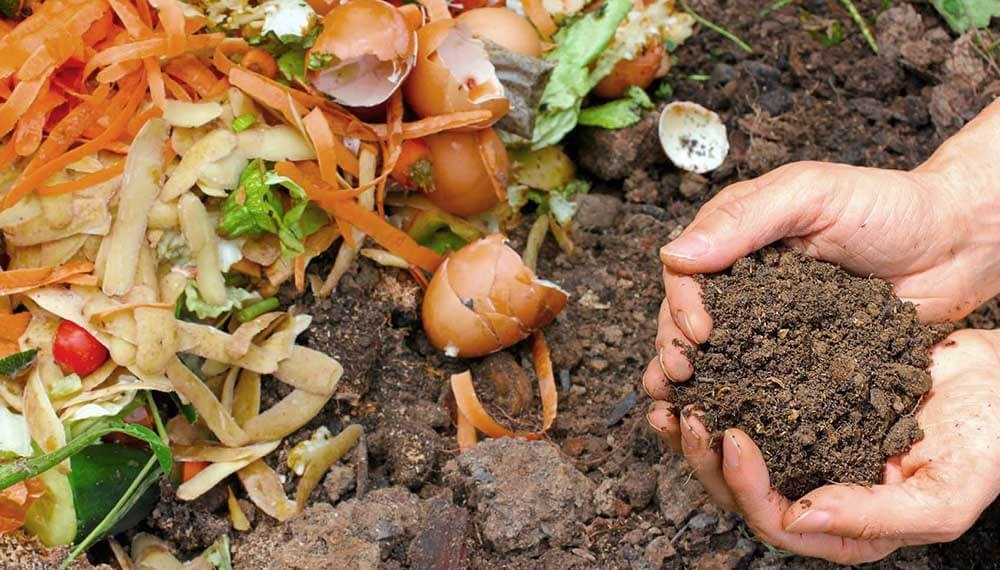 Compost-biofertilizante-abono-verde-lombricompuesto-preparacion-ventajas-infocampo.jpg