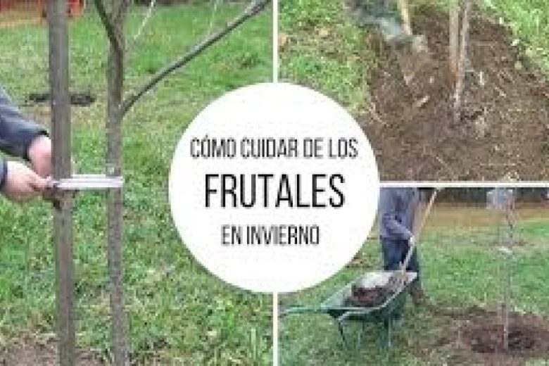 descarga (2).jpg