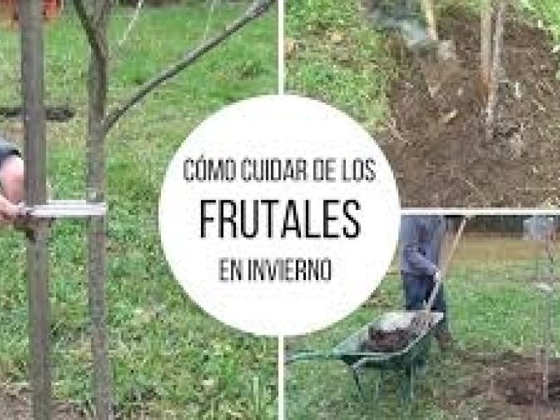 descarga (2).jpg