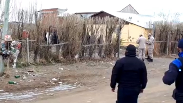 calafate.jpg