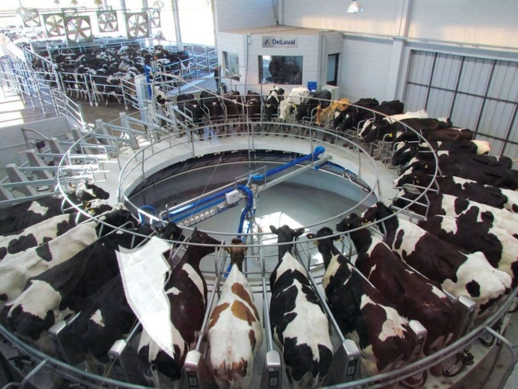 Tambos_lactea_leche-1068x801.jpg