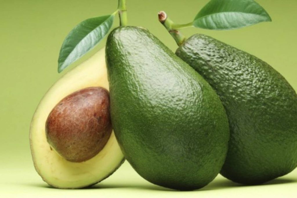 palta660x550-1-1200x800.jpg