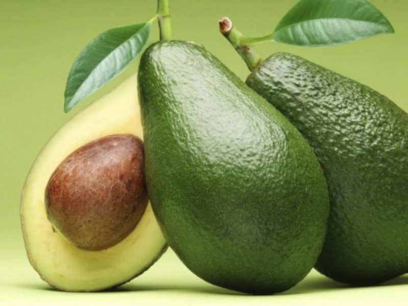 palta660x550-1-1200x800.jpg