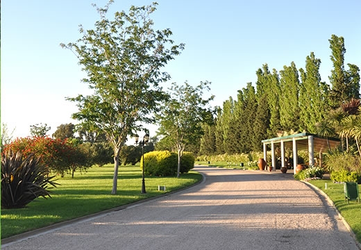 cementerio03.jpg