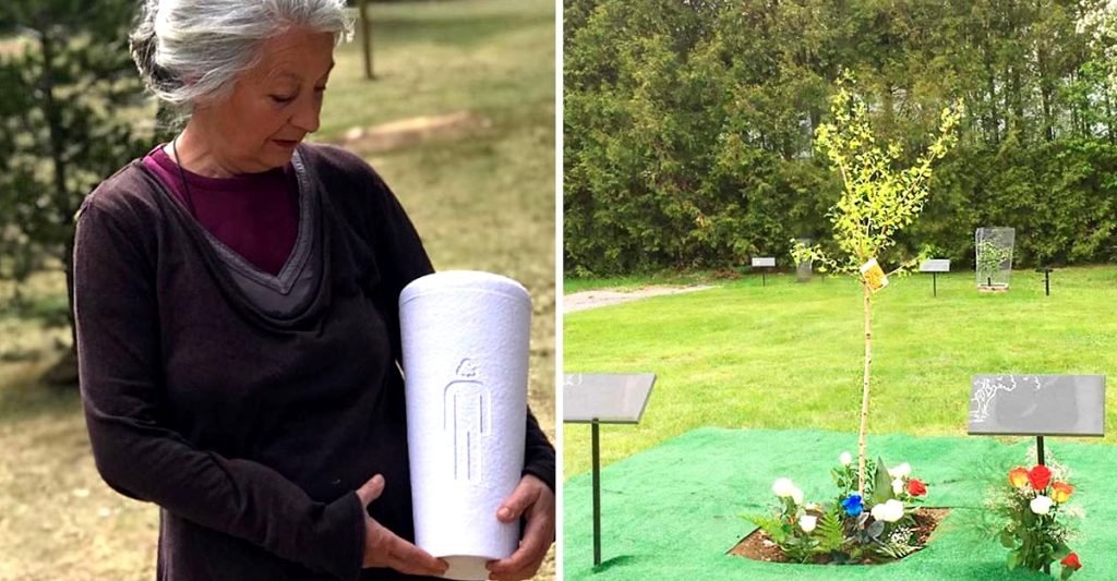 cementerio-ecologico-arbol.jpg