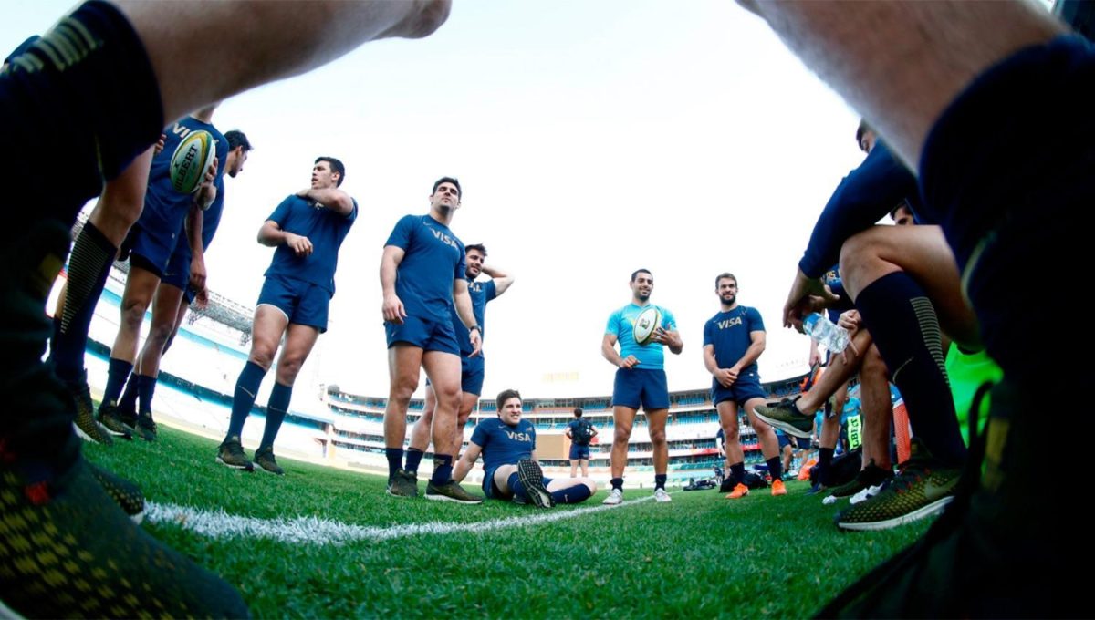 foto-tomada-de-twittercom--lospumas-857704-103147.jpg