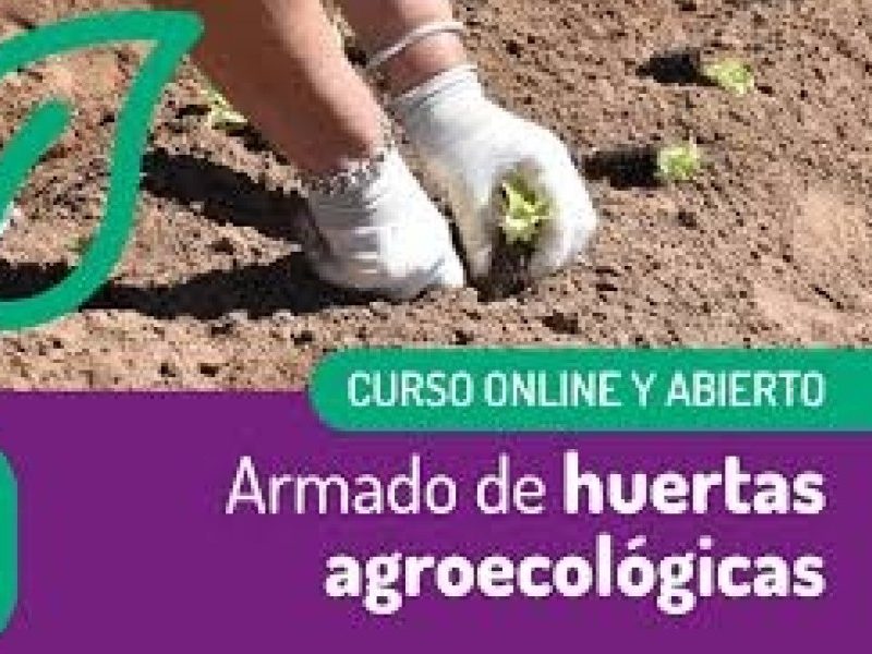 descarga (3).jpg
