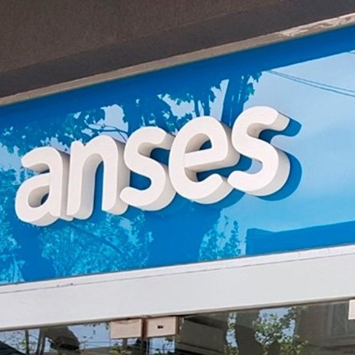 anses.jpg_423682103.jpg