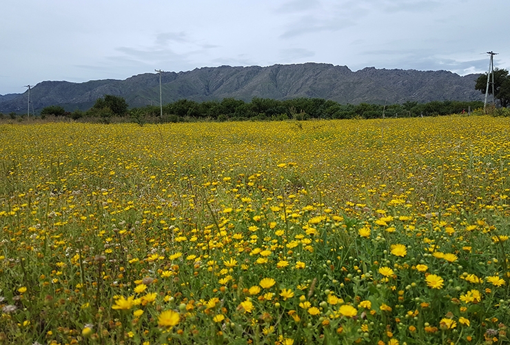 20170225_153153-copia.jpg