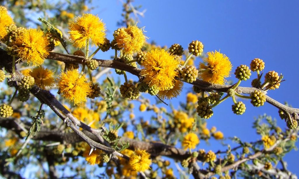 DSCF8077.jpg