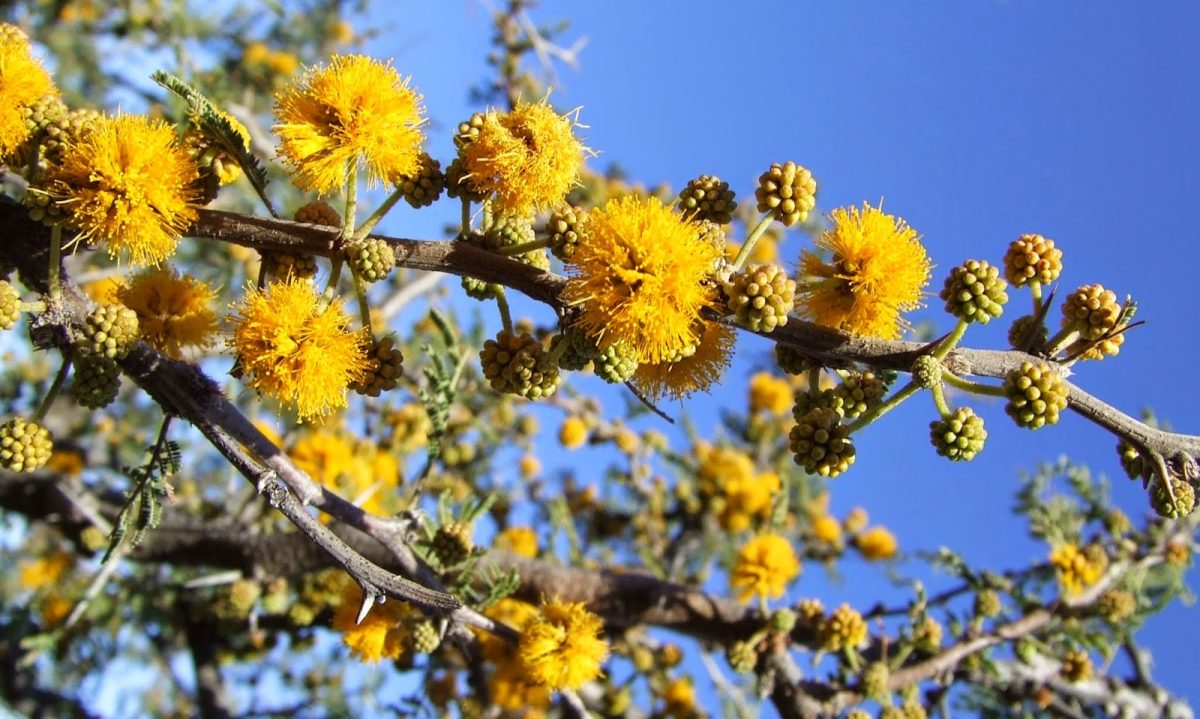 DSCF8077.jpg
