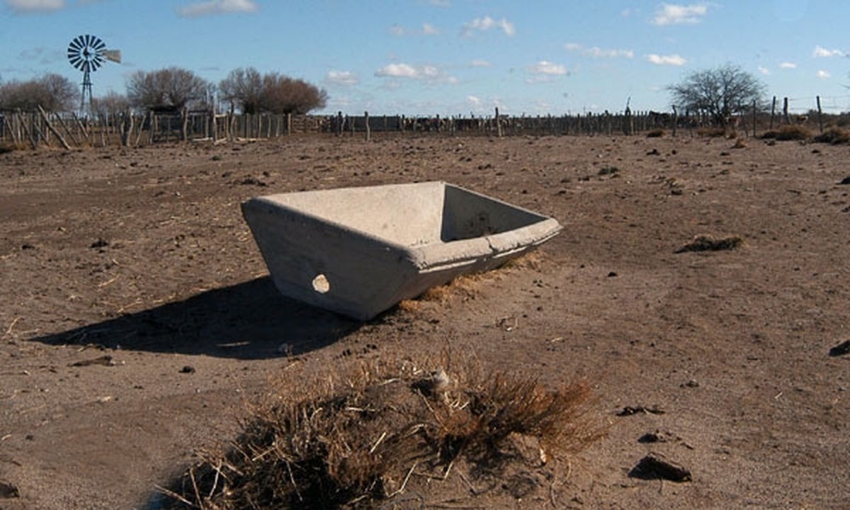sequia-siembra-campo.jpg