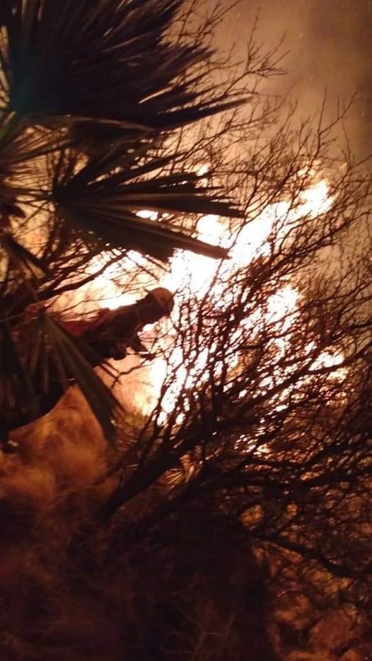 incendio 2.jpg