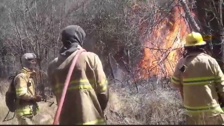 BOMBEROS.jpg