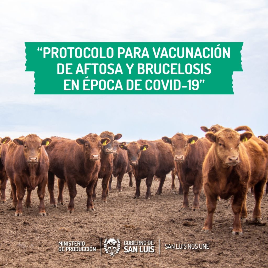 Protocolo-vacunación_01-1.jpg