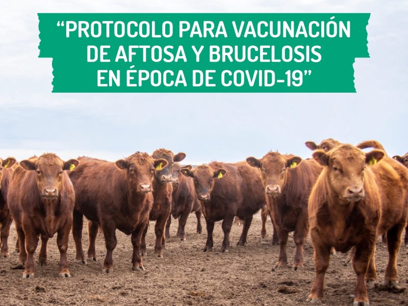 Protocolo-vacunación_01-1.jpg