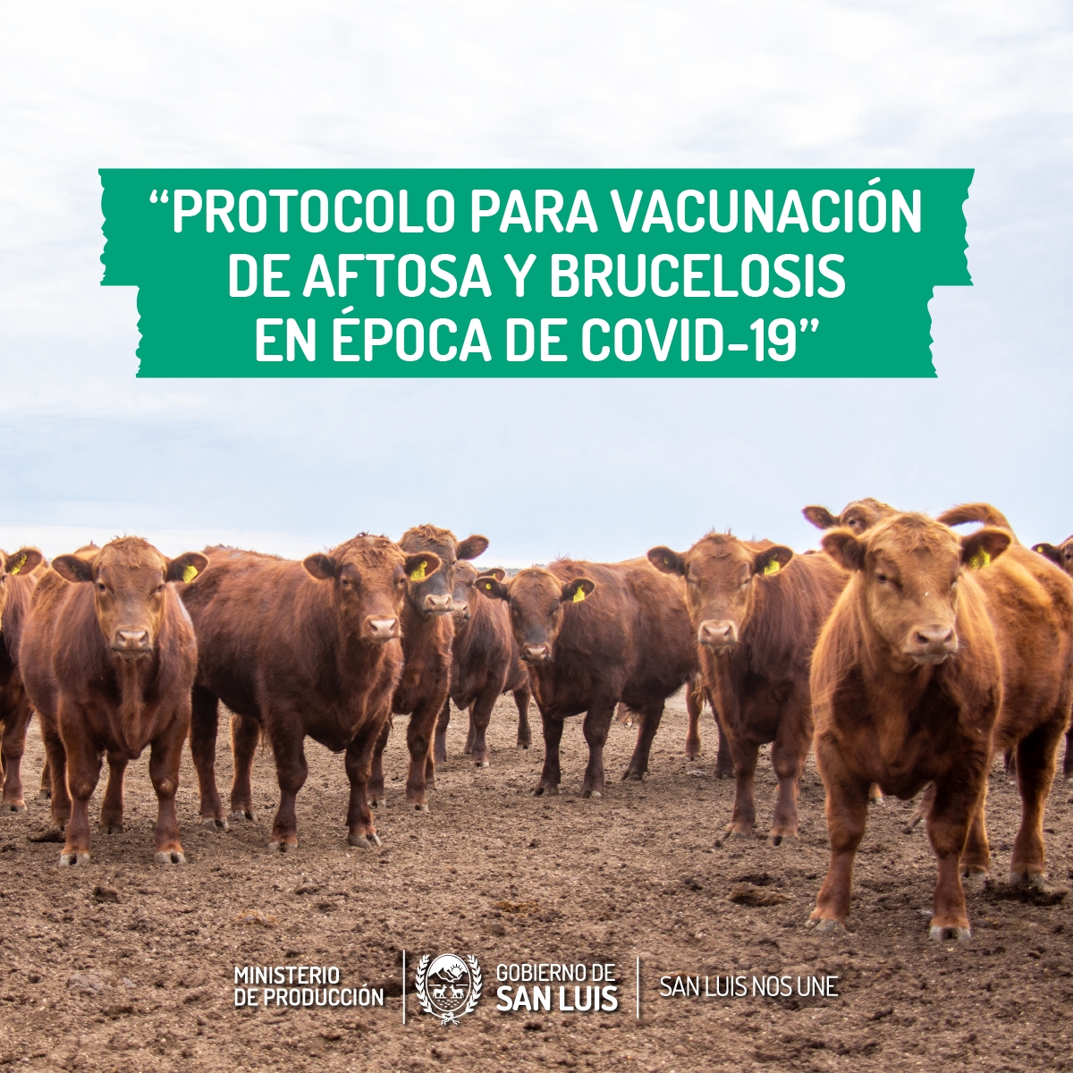 Protocolo-vacunación_01-1.jpg