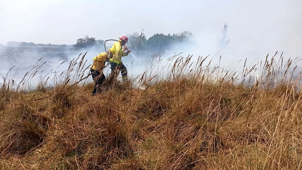 5f83383f5cf70_1004x565.jpg