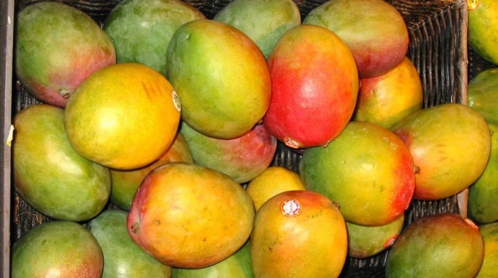 mango-para-potenciar-proteger-bronceado-1496422357134.jpg