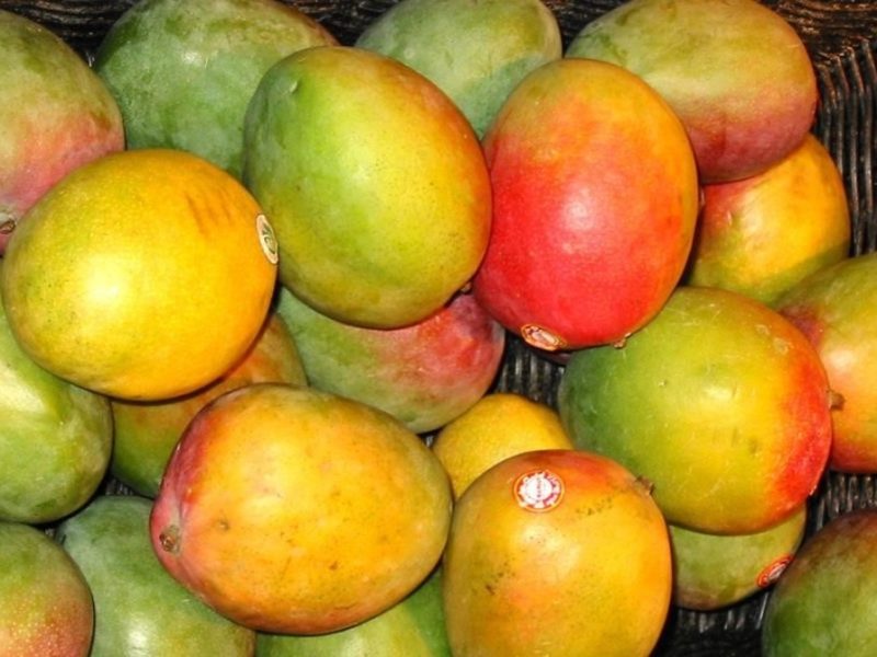 mango-para-potenciar-proteger-bronceado-1496422357134.jpg