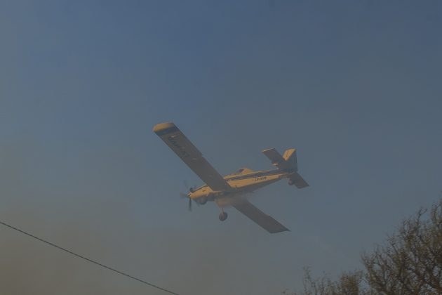 1_11a-1-630x420.jpg