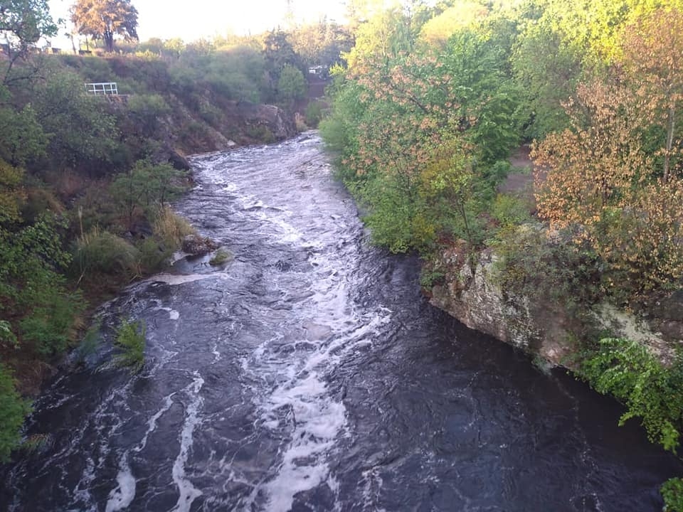 122857457_10222294393167367_3115553361818356588_n.jpg