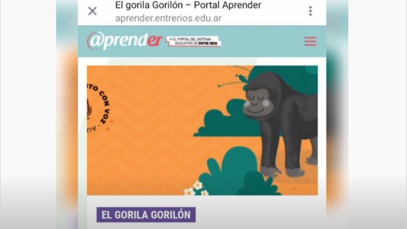 captura_gorila_crop1604581192658.jpg_258117318.jpg