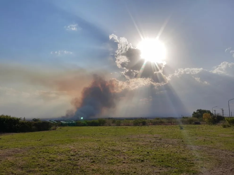 INCENDIOENELCERROORO.jpg