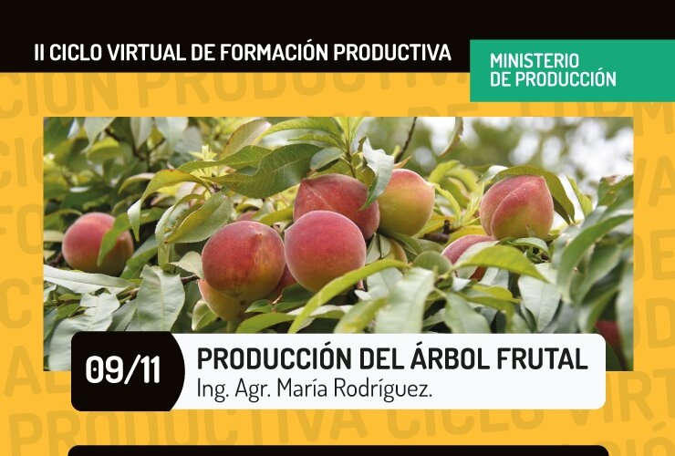 Arbol-frutal-agencia-1.jpg