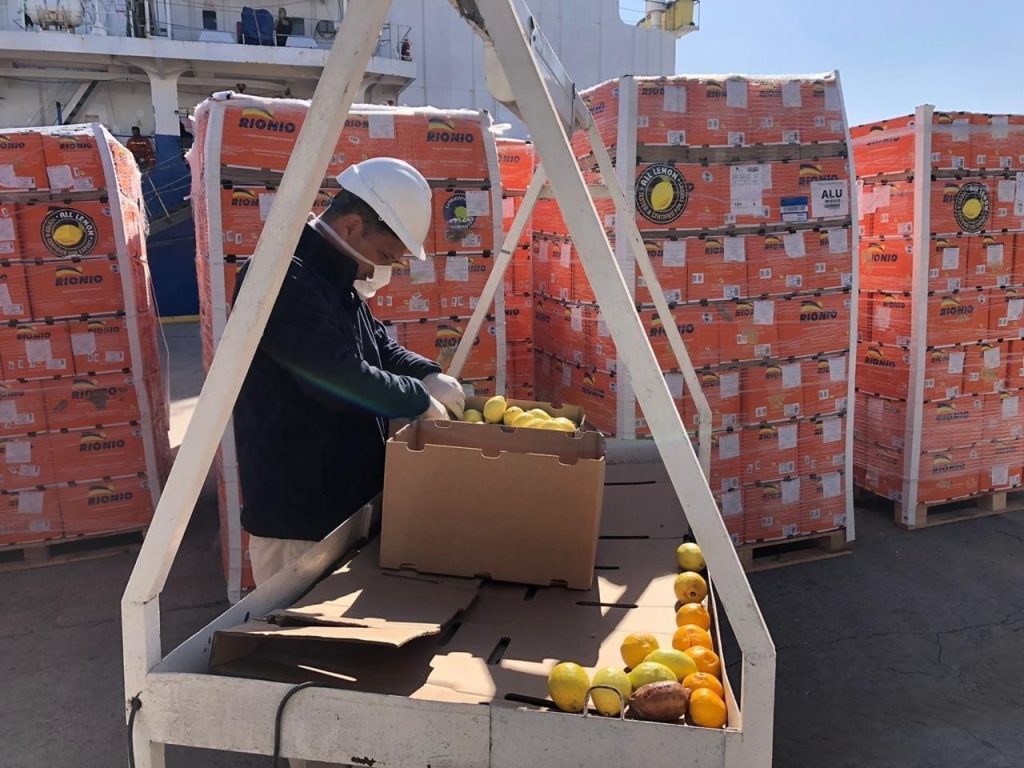 exportacion de fruta.jpg