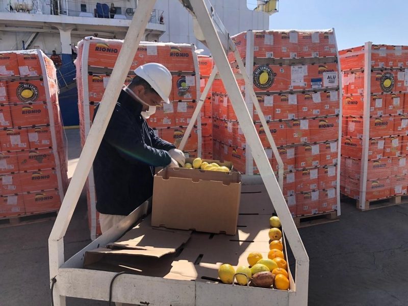 exportacion de fruta.jpg