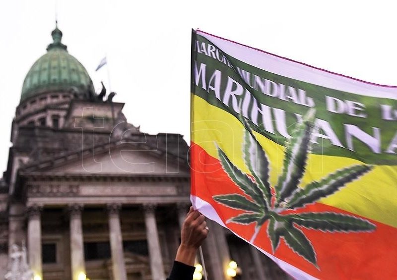 cannabis.jpg