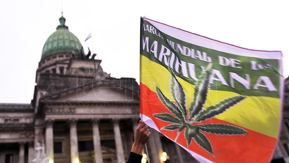 cannabis.jpg