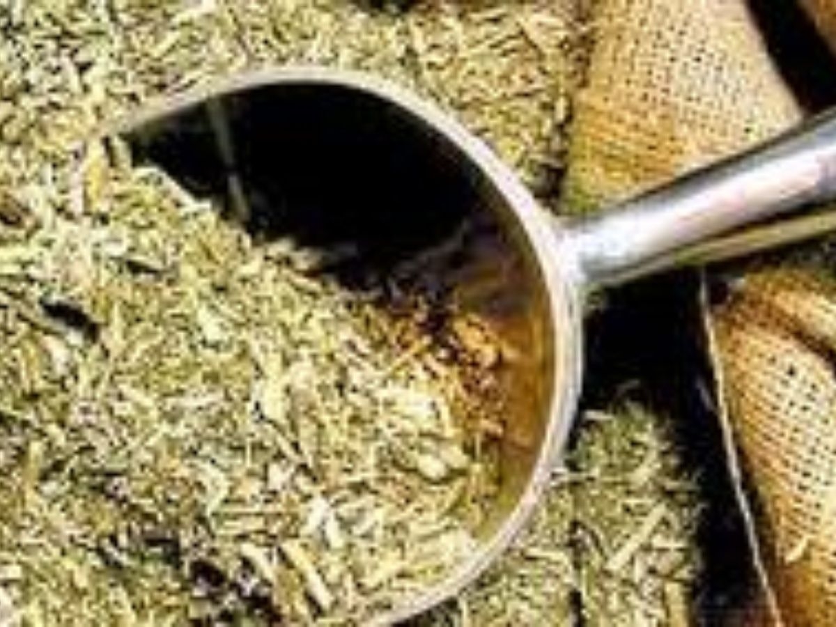 yerba.jpg