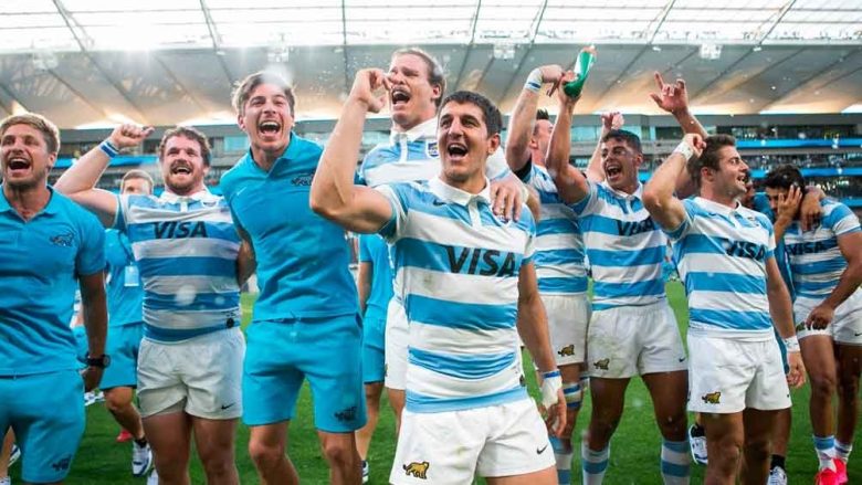 pumas.jpg