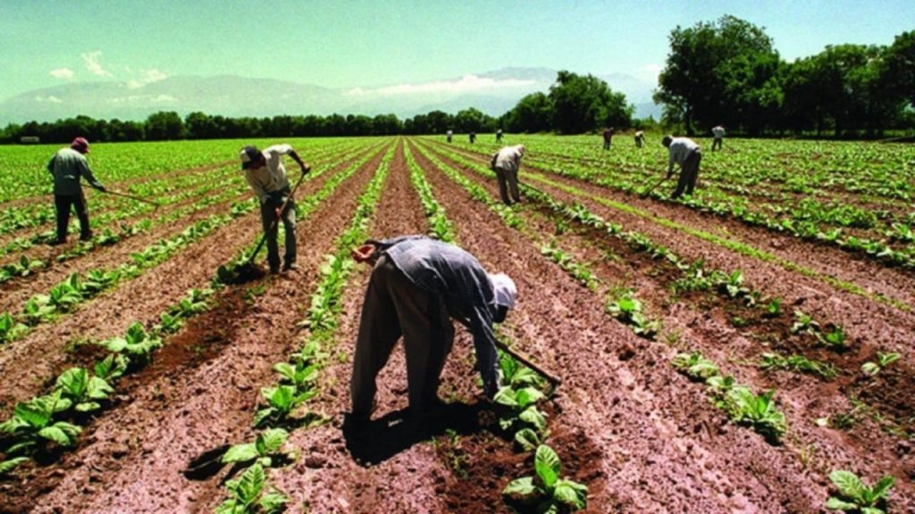 trabajador.jpg