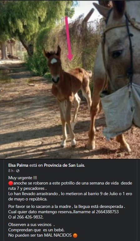 14.JPG