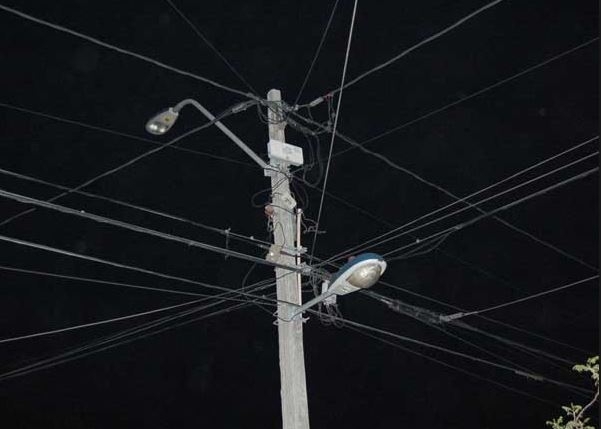 37397.jpg