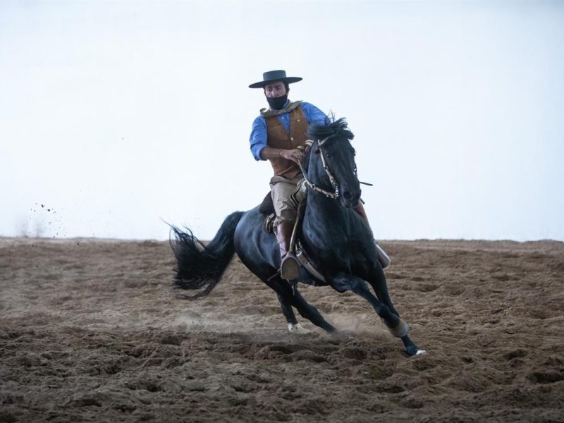 caballo.jpg