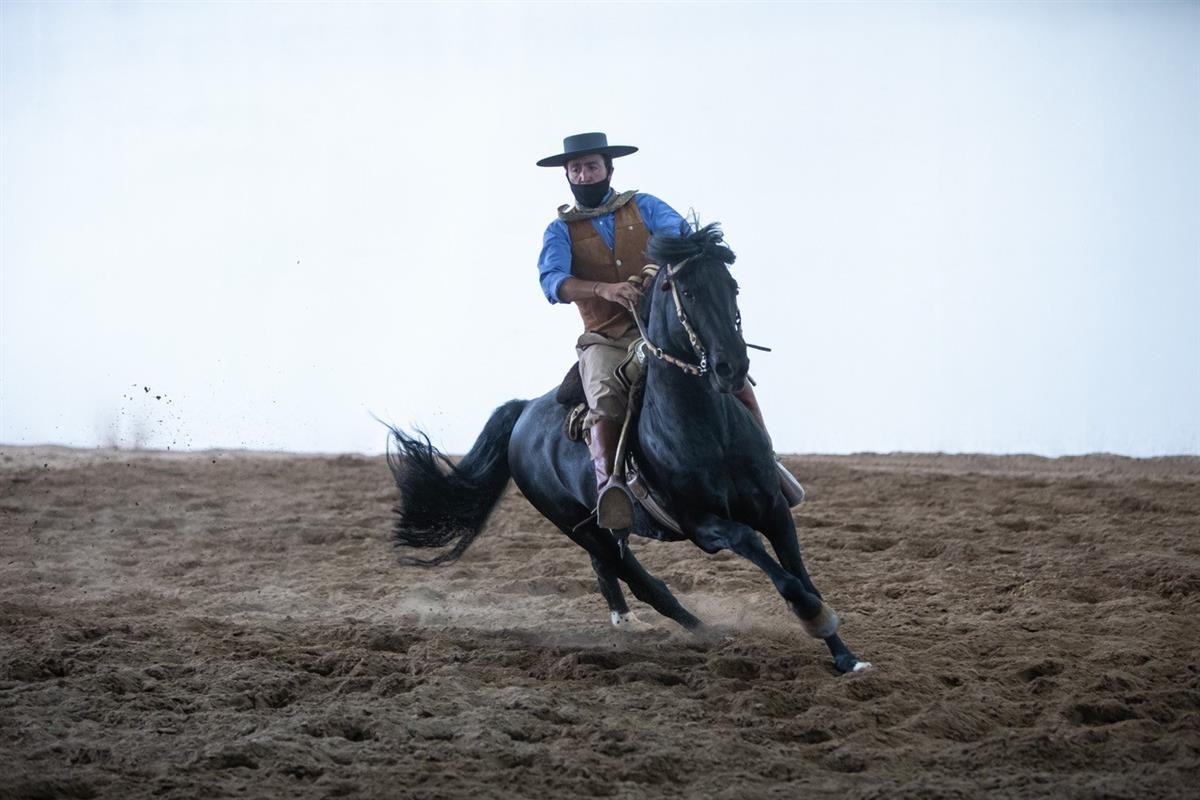 caballo.jpg