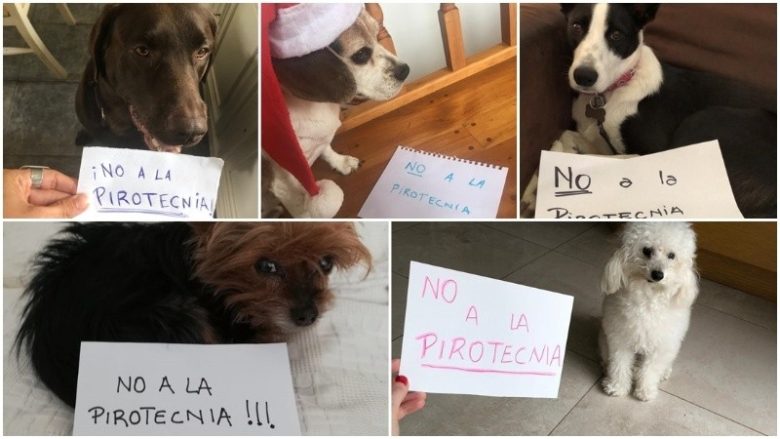 collage_si_adentro.jpg_674994428.jpg