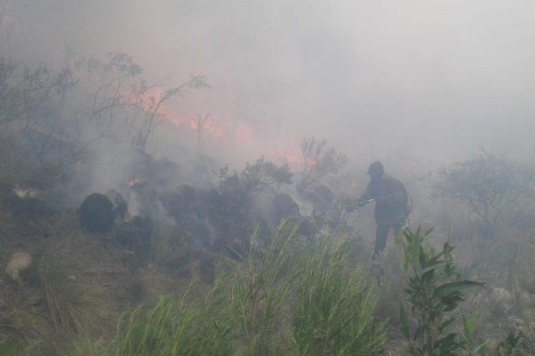 incendiotapa.jpg