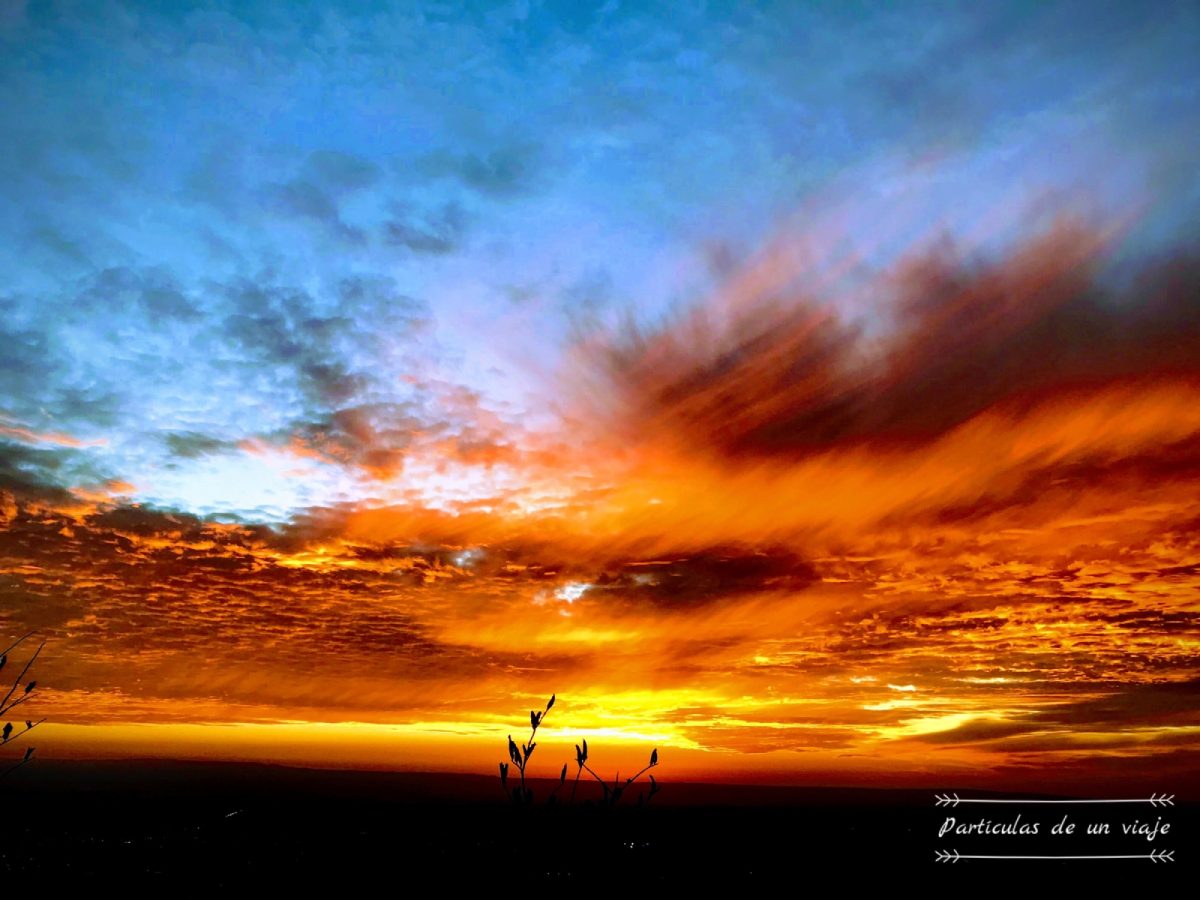 15778B05-67B7-4095-B5CD-D1F626CA7ED3.jpg