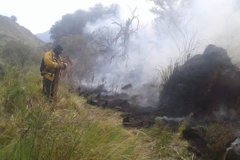 incendio lunes.jpg