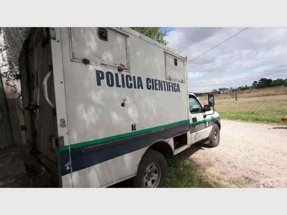 mar-del-plata-cadaver-perros.jpg_1536916664.jpg