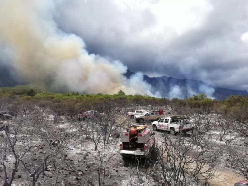 INCENDIOSFORESTALES2.jpg